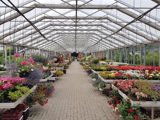 Gartencenter & GaLaBau Merten | Selm