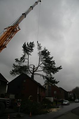 Beuermann Garten- und Landschaftsbau