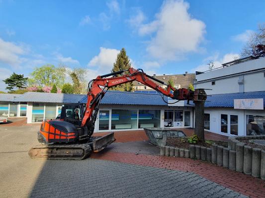 Garten- und Landschaftsbau Milewski