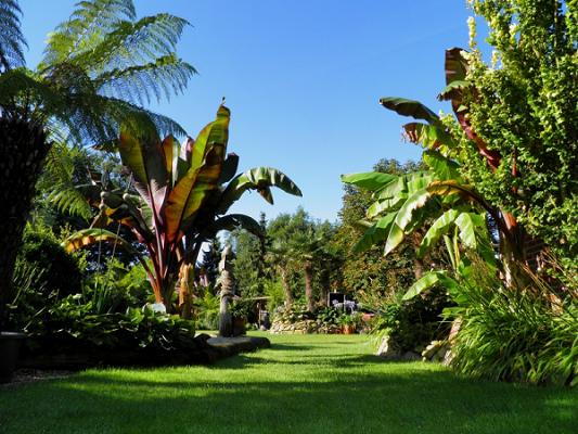 Garten Seggewiß - Ferienwohnung u. Exotengarten