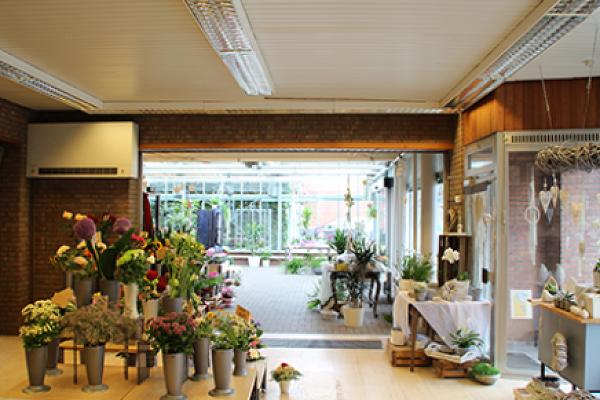 Theodor Nienhaus Blumenhaus & Gartenbau