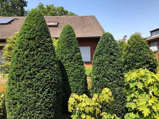 Gartenpflege Anita Stapper
