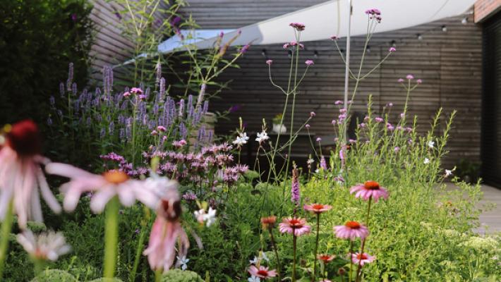 Gartendesign Dennis Homann