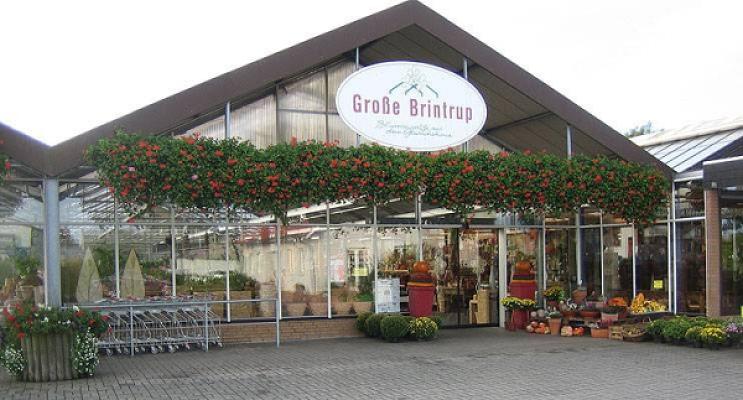 Große Brintrup - Floristik & Gärtnerei