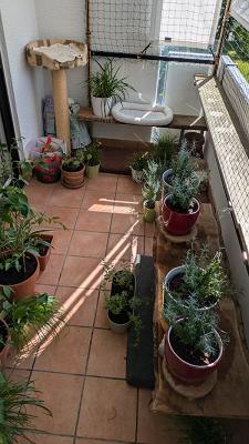 Bioland Gärtnerei Monika Bender Online Shop