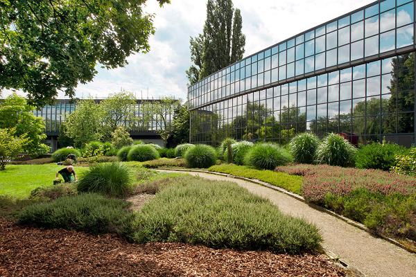 WESTHOFF Grünpflege GmbH