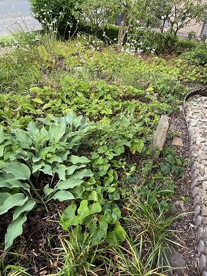 Westhoff Garten- und Landschaftsbau