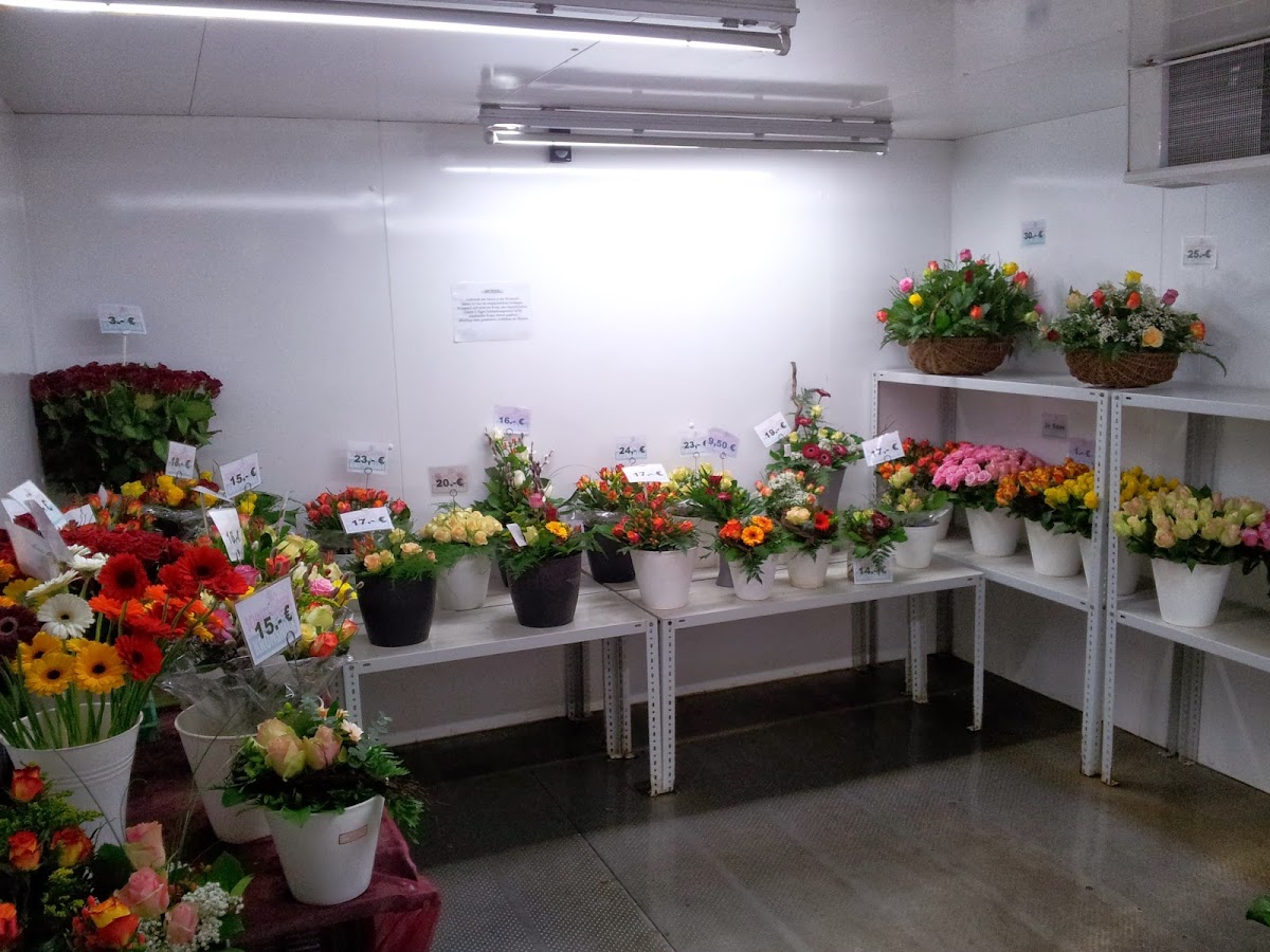 682f1bdd5aacd