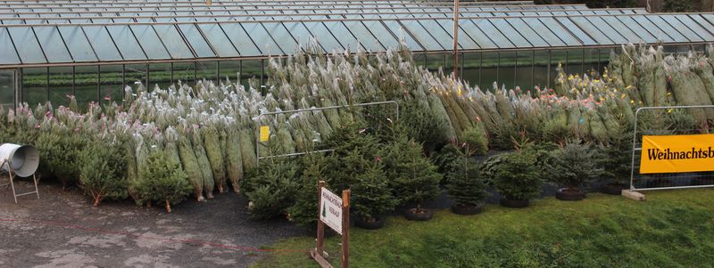 682f1bf2c0888