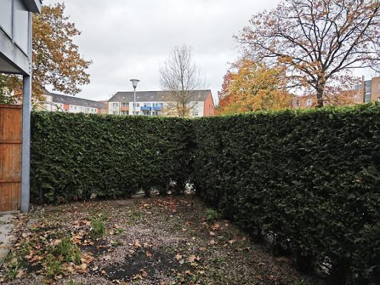 Garten- Landschaftsbau Schöner Schnitt