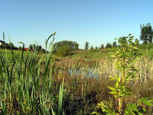 Münsterländer Heinzelmännchen Garten- und Landschaftsbau GmbH