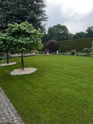 Temming Garten- und Landschaftsbau GbR
