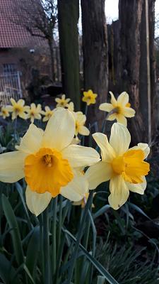 682f1c6919612