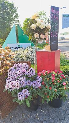 Artmeyer Baumschule GmbH & Co. KG