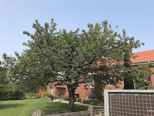 Helmut Hembrock Garten- Und Landschaftsbau