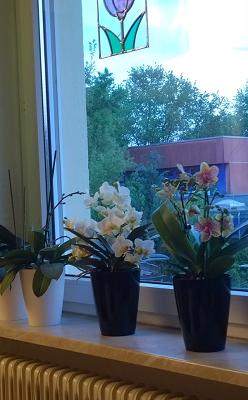 682f1ce79d116