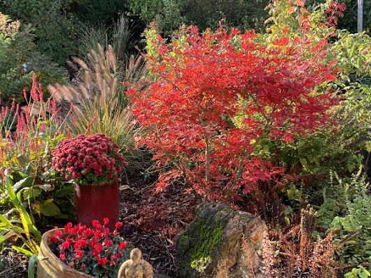 682f1d02edc8d