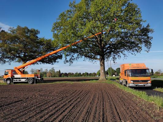 Gewers Baumpflege GmbH