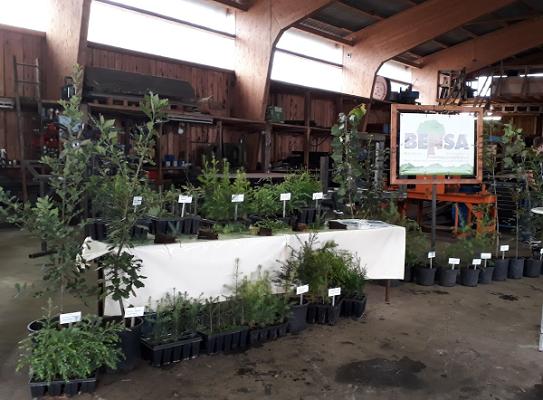 Bensa Forstbaumschulen Inhaber Jan-Bernd Benning e. K.