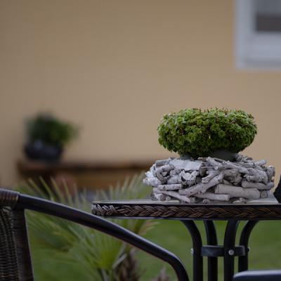 Holzenberger Haus- & Gartenservice