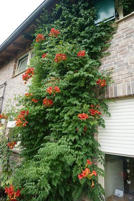 Steinert Gartenmanufaktur Dipl.-Ing. Alexander Steinert