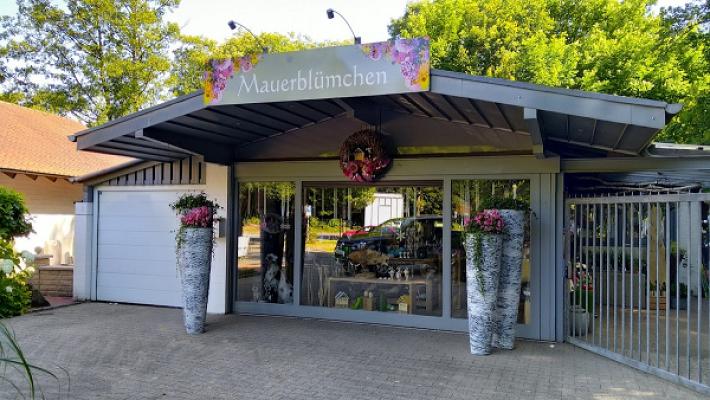 Mauerblümchen