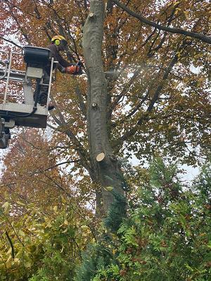 682f1ea088d73
