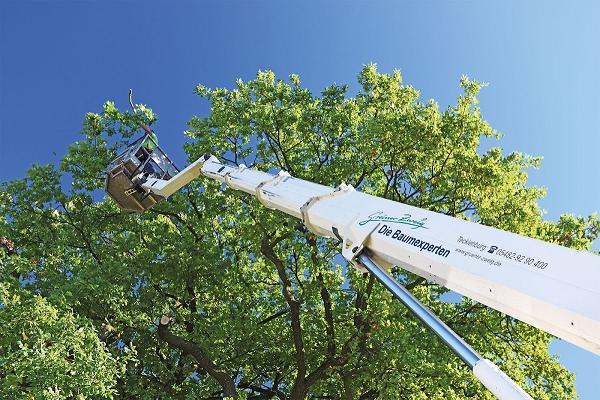 Grüner Zweig GmbH