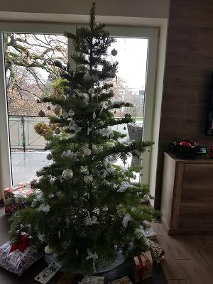 Gärtner Aschhoff Weihnachtsbäume