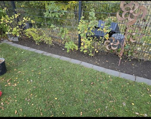 Garten-und Hausmeisterservice Lissack