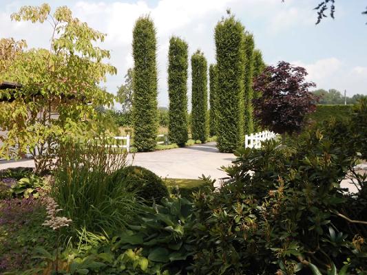 Alfons Westermann | Garten- und Landschaftsbau GmbH