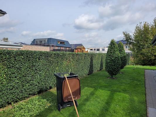 Gartenpflege / Hausmeisterdienste Kamps