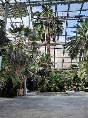 Schü-Na GmbH Garten- und Landschaftsbau