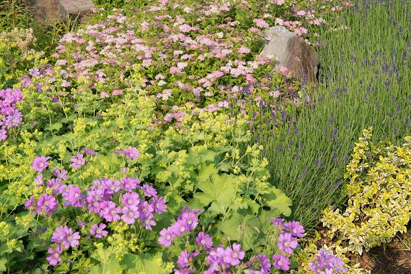 Klein Gartengestaltung & Landschaftsbau