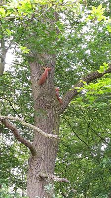 Sachverständigenbüro B. Martin