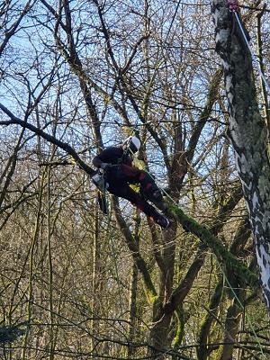 Baum & Garten Matthias Balke
