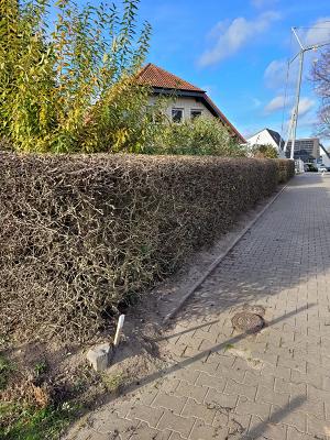 naturgrün naturreich