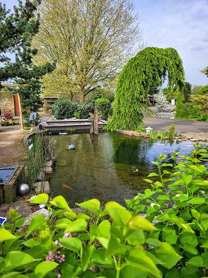 Gartenwelt Uwe Hülsmann