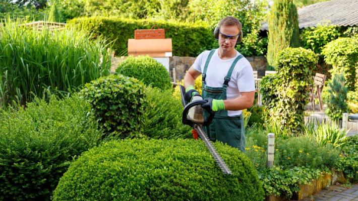 Schlichtmann & Kiewisch Garten-und Landschaftsbau GmbH