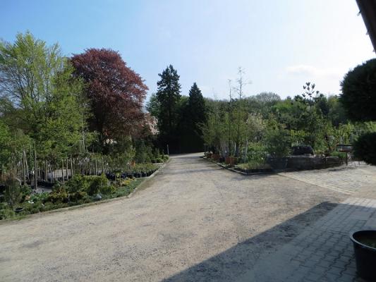 Gert Stein Garten- und Landschaftsbau / Baumschulen