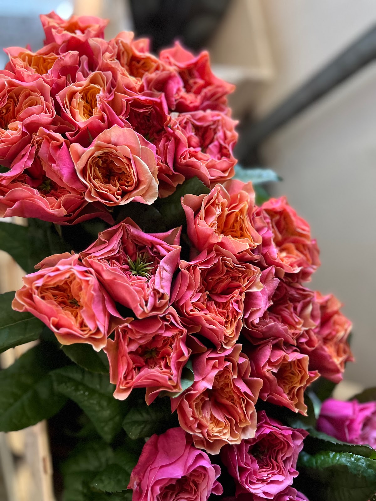 682f207792e85