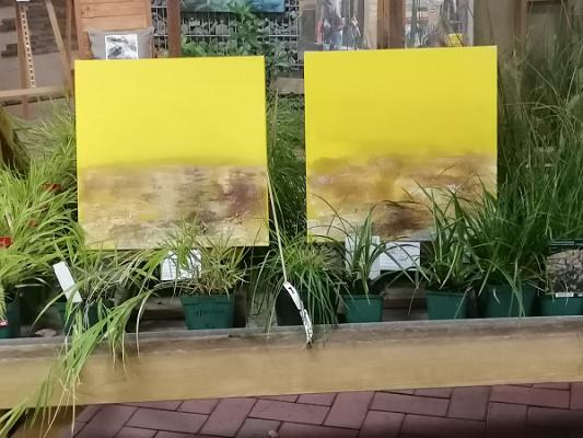 Concept G Landschafts- und Gartenbau GmbH