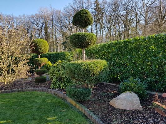 Stemweder Service GmbH & Co. KG