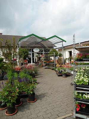 Hoffmann GmbH & Co. KG Garten- und Landschaftsbau, Floristik