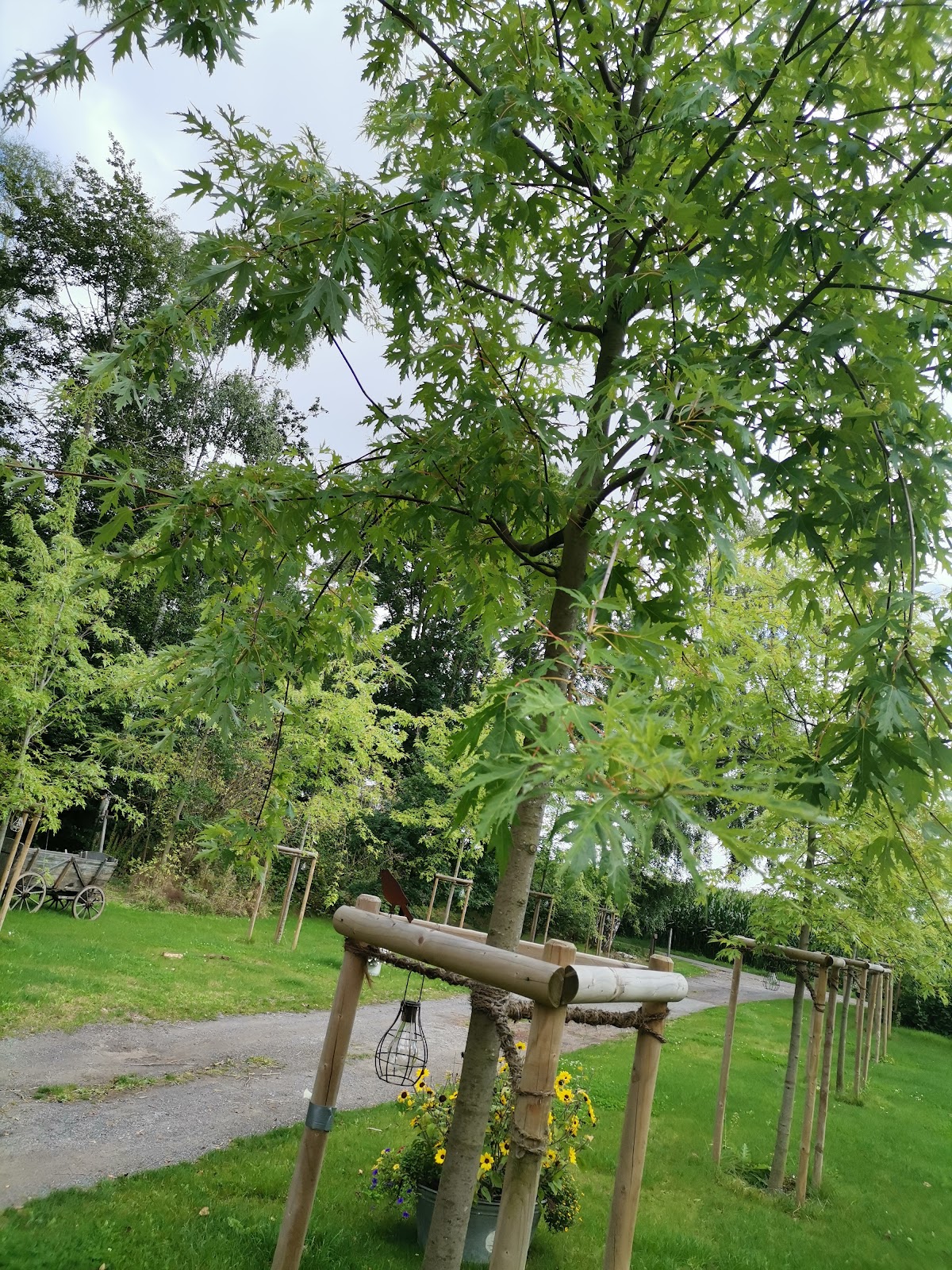 682f210980c49