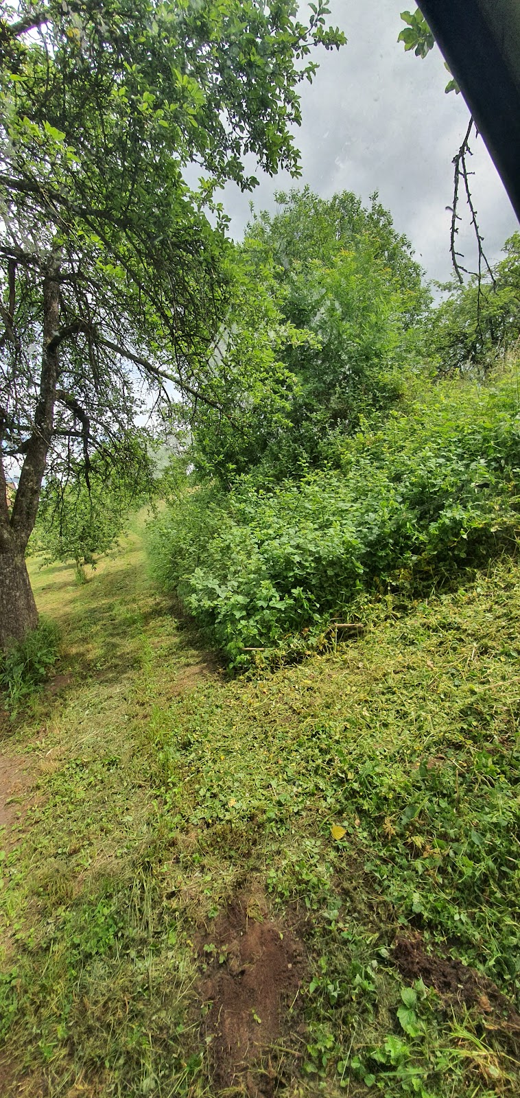 682deddc8c150