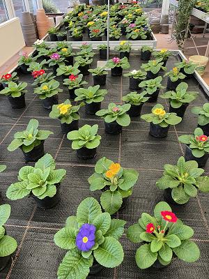 682f214b8822d