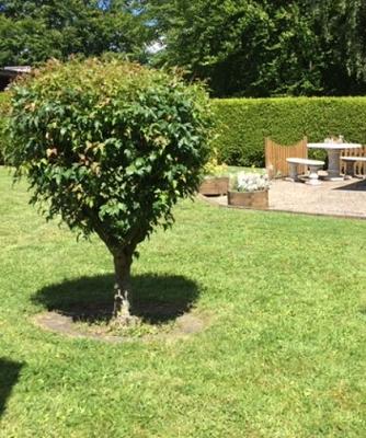 Haus und Gartenservice - Gartenpflege - Udo Boelen