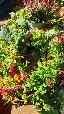 Oestreich Gartenbedarf & Tierfutter | Löhne