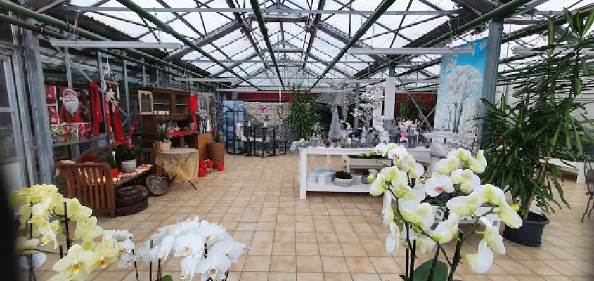 Dirk Rackelmann Gartenbau u. Blumenhaus